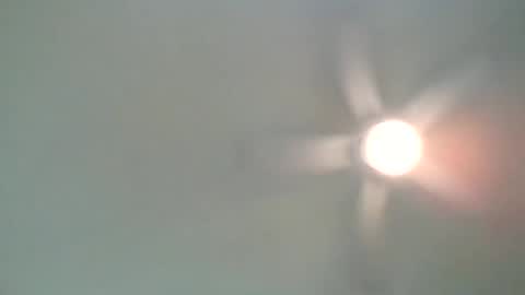 long1969dong online show from 02.21.25