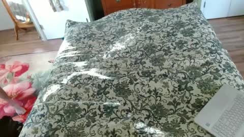 Snapshot of longbowrider555 chatting on 01.30.25 Jeff online show from 01.30.25