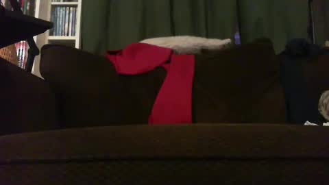 longlorne online show from 11.18.25