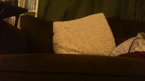 longlorne online show from 02.12.26