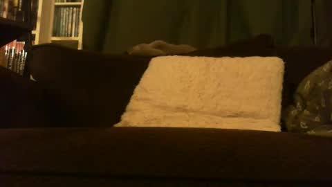 longlorne online show from 02.15.26