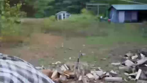 longtimerambler online show from 10.11.25