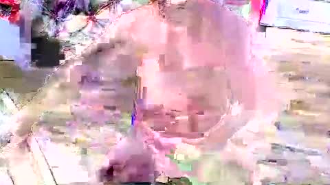 look4fun316 online show from 11.04.25