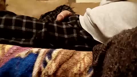 Snapshot of looking4bush chatting on 12.03.24 looking4bush online show from 12.03.24