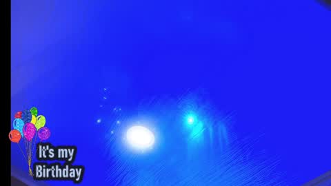 Loren online show from 12.10.24