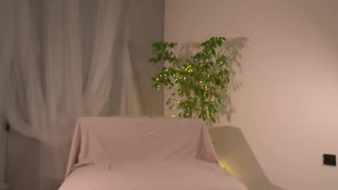 Lorrie online show from 11.23.25