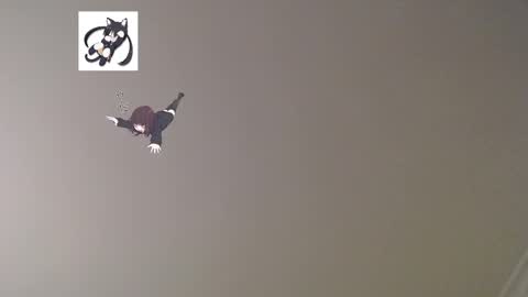 Snapshot of lostcausenef chatting on 03.02.25 nefisa nef online show from 03.02.25