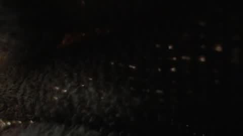 Snapshot of louis_bcasta1 chatting on 01.22.25 OF louis bcasta1 online show from 01.22.25