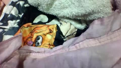 lovaelisa online show from 11.02.25