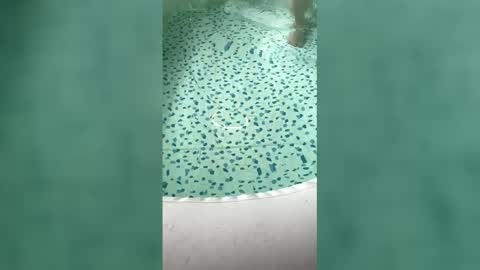 Snapshot of lovelyladyflaccid chatting on 05.31.26 lovelyladyflaccid online show from 05.31.26