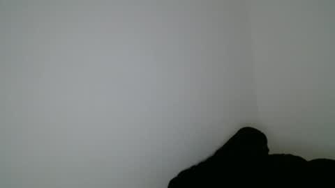 luana online show from 01.15.26