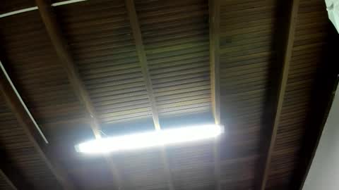 luca_morettii online show from 11.05.25