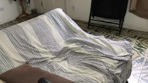 lucifer_curious online show from 11.08.25