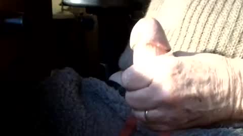 BIG Daddy cock. Tips make it harder  online show from 03.08.26