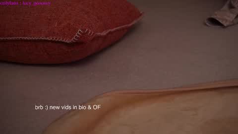 Snapshot of lucy_gooosey chatting on 01.28.25 Lucy. online show from 01.28.25