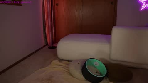 Snapshot of lucy_gooosey chatting on 02.03.25 Lucy. online show from 02.03.25