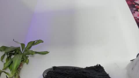 luciana online show from 12.21.25