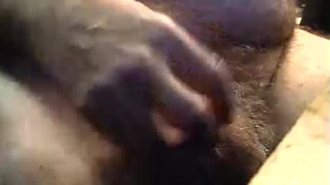 Snapshot of lukestarfckr chatting on 09.11.25 lukestarfckr online show from 09.11.25