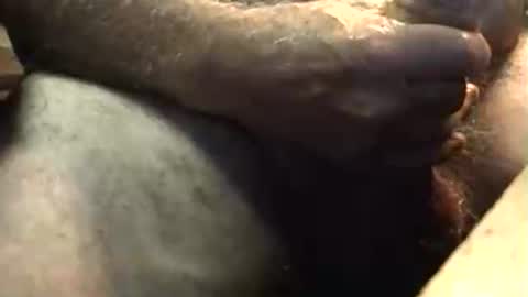 Snapshot of lukestarfckr chatting on 10.05.25 lukestarfckr online show from 10.05.25