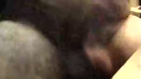 Snapshot of lukestarfckr chatting on 10.09.25 lukestarfckr online show from 10.09.25