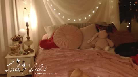 Snapshot of lulawilds chatting on 12.17.25 lula wilds online show from 12.17.25