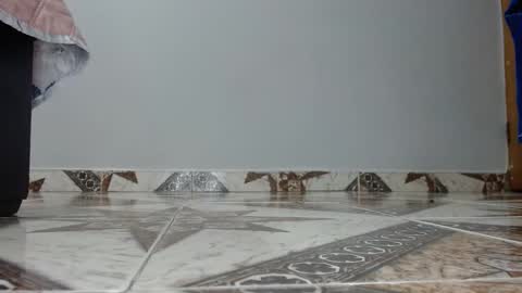 Luna--Blueberry online show from 12.14.25