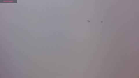 Luna and Rick online show from 11.17.25