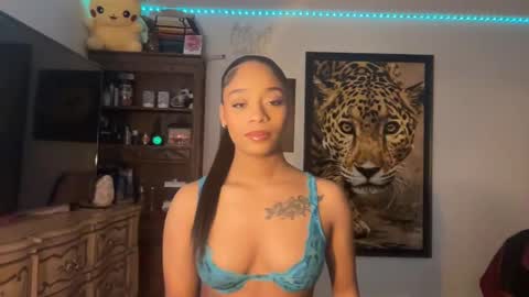 Snapshot of lunaa_11 chatting on 01.13.25 lunaa_11 online show from 01.13.25