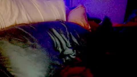 Snapshot of lunadaddysgirl chatting on 11.25.25 Luna Daddys Girl online show from 11.25.25