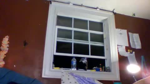 lunasecretadmirer online show from 03.01.26