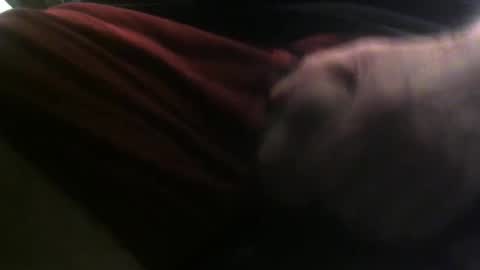 Snapshot of lunatica12 chatting on 02.23.25 lunatica12 online show from 02.23.25