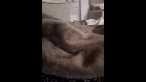 lunchmoney23 online show from 03.06.26