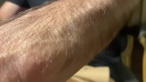 lupushorny online show from 04.08.26