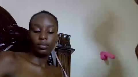 lutino_lovebirds online show from 04.11.26