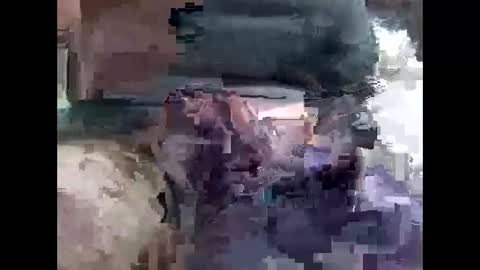 lutorres online show from 11.16.25