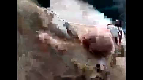 lutorres online show from 11.22.25