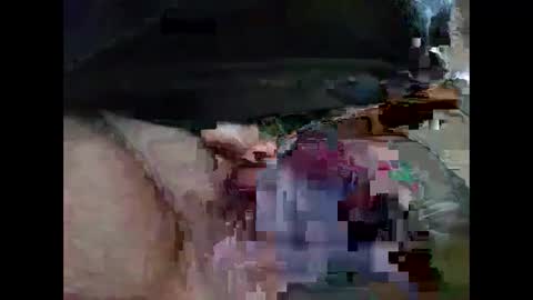 lutorres online show from 12.22.25