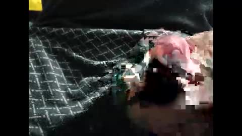 lutorres online show from 12.23.25