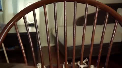 Snapshot of lyle_art chatting on 02.27.25 hi im Lyle online show from 02.27.25