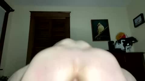 lyle blue online show from 02.07.26