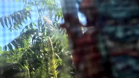 SLoppYxXPeeHoLeXxGspotxX online show from 02.15.26