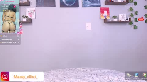 Snapshot of macey_hairy chatting on 01.17.25 Macey Elliot Modelo Independiente online show from 01.17.25