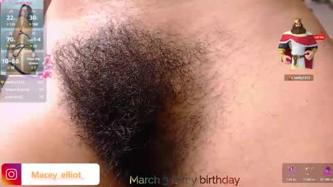 Snapshot of macey_hairy chatting on 03.02.25 Macey Elliot Modelo Independiente online show from 03.02.25