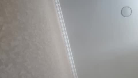 Tchia online show from 02.23.26