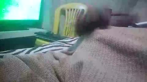 mad415264 online show from 11.24.25