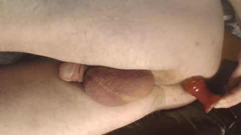 maestro2017 online show from 12.14.24