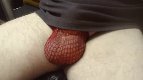 maestro2017 online show from 12.20.24