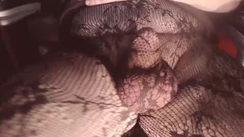 maestro2017 online show from 02.01.25