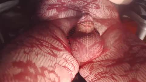 maestro2017 online show from 02.26.25