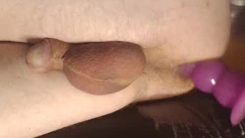 maestro2017 online show from 03.07.25